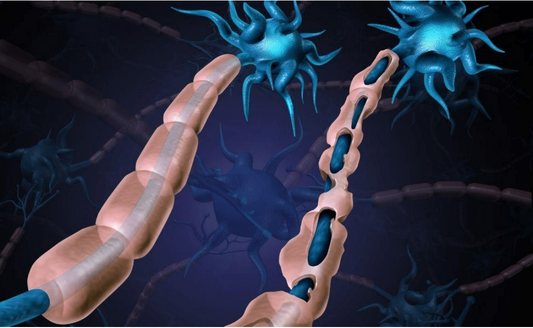 Understanding Multiple Sclerosis and Incontinence